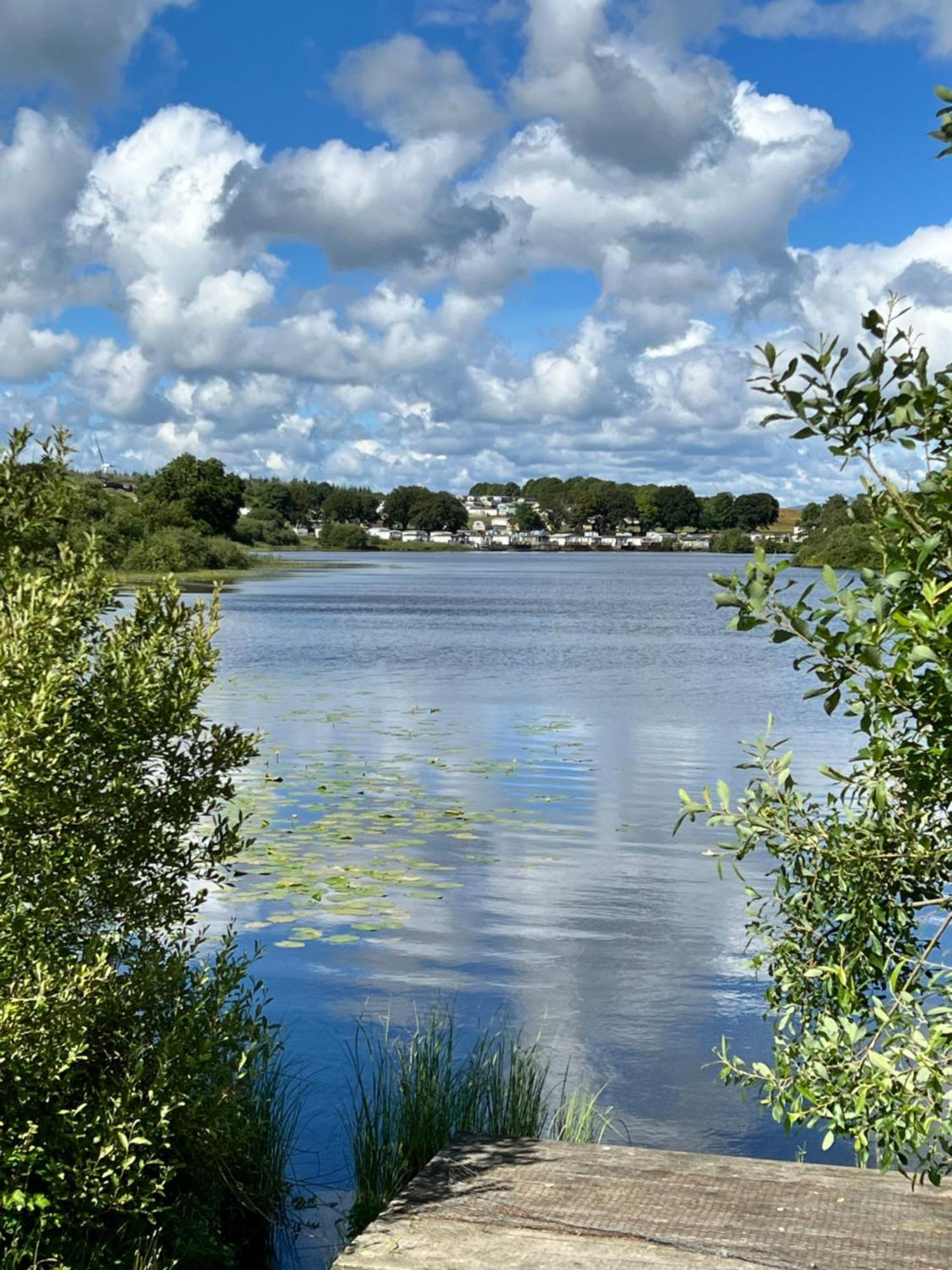 Jungle House No.26 At Three Lochs Holiday Park Newton Stewart Exteriör bild